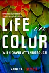 David Attenborough: Życie w kolorze